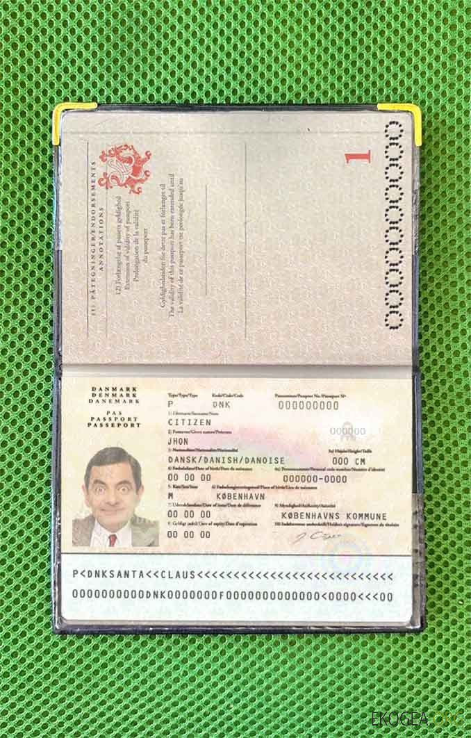 Look photo du passeport danois